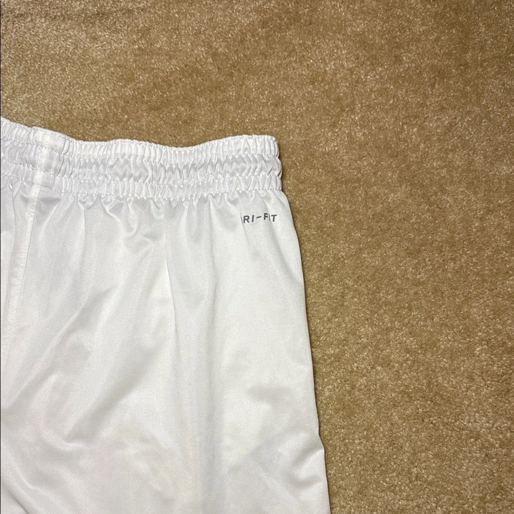 Jordan‎ Mens Dri-Fit Shorts